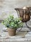Greenery in Pot – 6" , Set of 4, Decorative Accent – Faux Plant in Rustic Paper Mache Pot - Holiday Tree